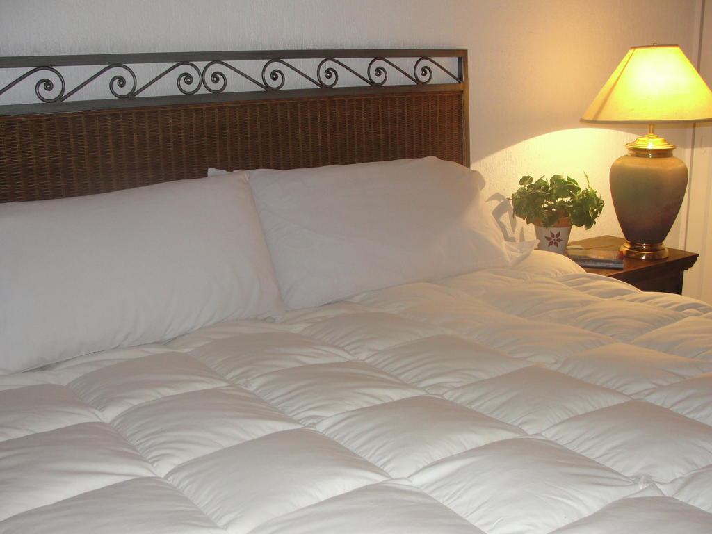Steinhaus Suites Homero เม็กซิโกซิตี้ ภายนอก รูปภาพ