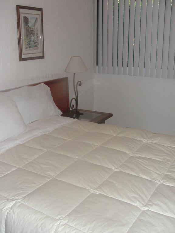 Steinhaus Suites Homero เม็กซิโกซิตี้ ภายนอก รูปภาพ